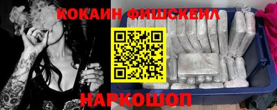 крисы Можга