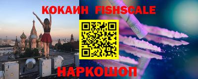 крисы Можга