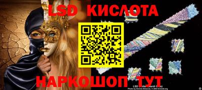 крисы Можга