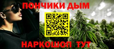 крисы Можга