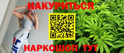 крисы Можга