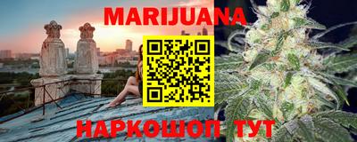 крисы Можга
