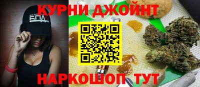 крисы Можга