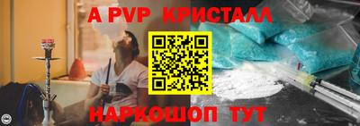 крисы Можга